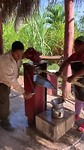Jugo de Caña
