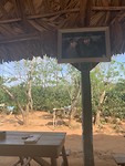 Koffieplantage, en natuurlijk mag een foto van de gebroeders Castro niet ontbreken