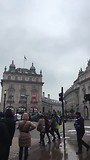 Piccadilly circus