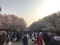 Uneo Park, Tokyo
