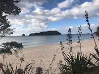 Hahei Beach