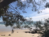 Byron bay strand