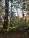 National Park