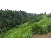 Campuhan Ridge Walk