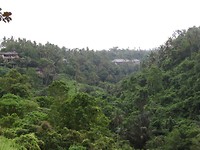 Campuhan Ridge Walk