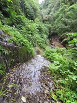 het "pad" naar Terjun Kuning waterval