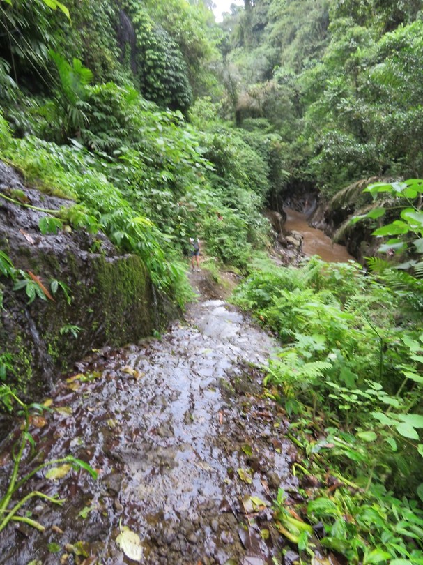 het "pad" naar Terjun Kuning waterval