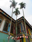 Little india
