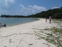 St Johns Island