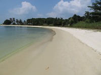 St Johns Island