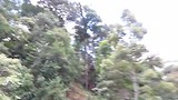 zipline