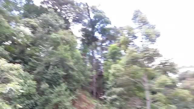zipline