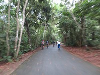 pulau ubin