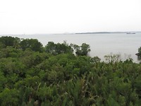 pulau ubin