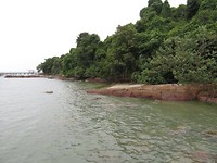 pulau ubin