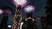 Gardens by the bay