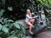 Cloud forest