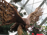 flower dome