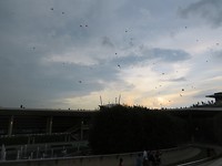 Marina Barrage