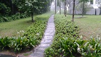 trappetje in de regen