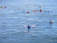 snorkelen bij the great barrier reef