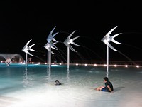 zwembad cairns