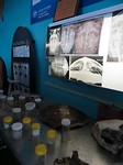 Turtle hospital
