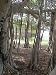 Strand bij Townsville