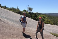 bald rock NP