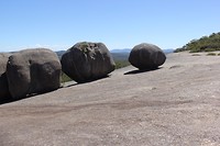 bald rock NP