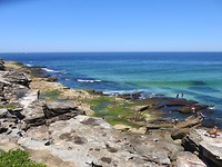 wandeling bij Bondi beach