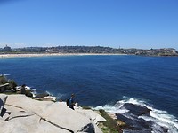 Bondi beach