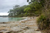 jervis bay