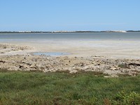 Coorong NP