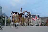 Spider kunst ding