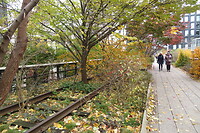 High line