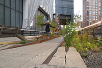 High line
