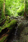 Mount Takao hike
