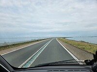 Lorelei - Houtribdijk