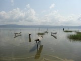 Lake bosumtwi.