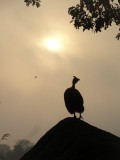 Zonsopgang.