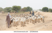 Ndjamena, Tsjaad 2