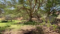 Waterberg plateau