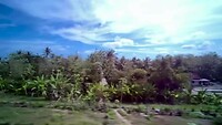 Met de trein van Sidareja naar Yogyakarta