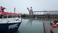 IMG_2884