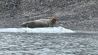 IMG_4343