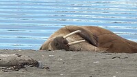 IMG_4438