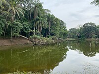 lac 1