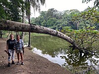 lac 2