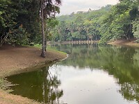 lac 6